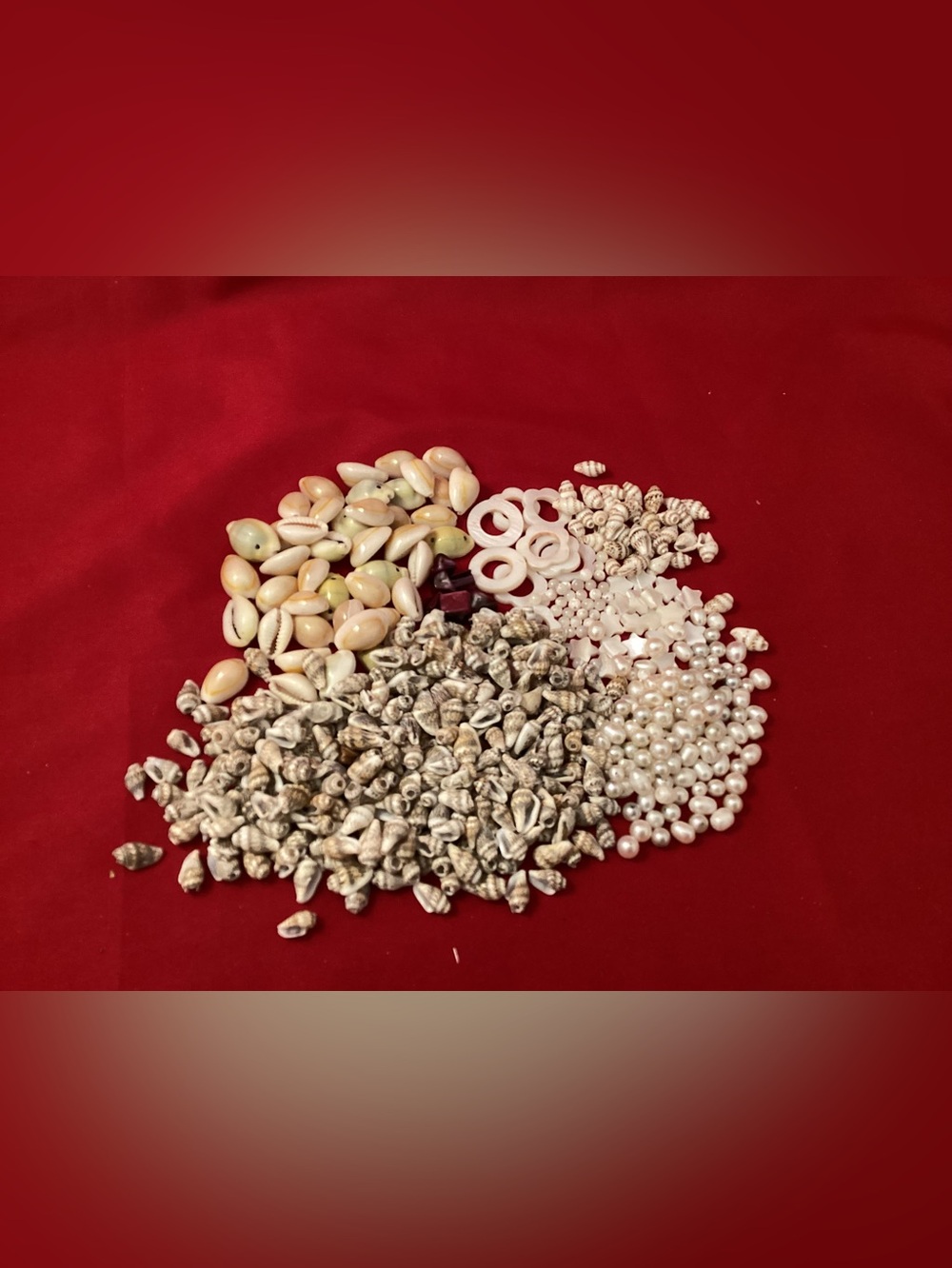 194 grams of mostly Shell for jewelry crafting